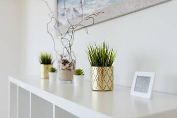 Фотографии Апартаменты Kiro apartamentai Elija Palanga Šventoji г. Швянтойи (Литва) №2 Фото Апартаменты Kiro apartamentai Elija Palanga Šventoji г. Швянтойи 2