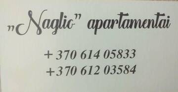 Фото номера Апартаменты с 1 спальней Апартаменты Naglio apartamentai Elija г. Швянтойи 34